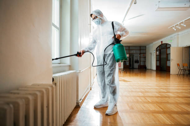 Best Pest Control for Restaurants  in Harlingen, TX