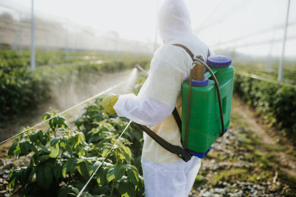  Harlingen, TX Pest Control Pros